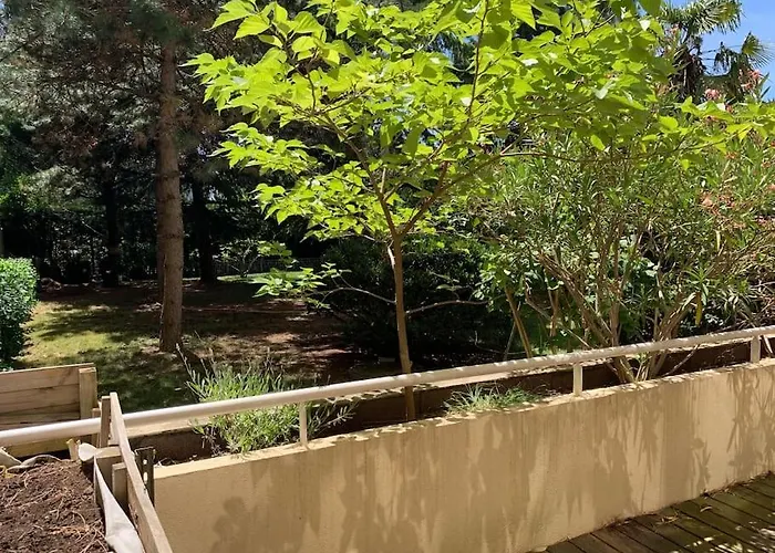 Super Appartement Arbore Avec Barbecue Et Parking